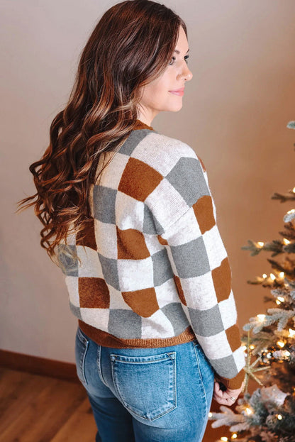 Brown Plus Size Checkered Crewneck Sweater - ELLEsinil